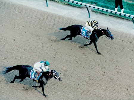 Grindstone (left) catches Cavonnier at the wire of the 1996 Kentucky Derby at Churchill Downs