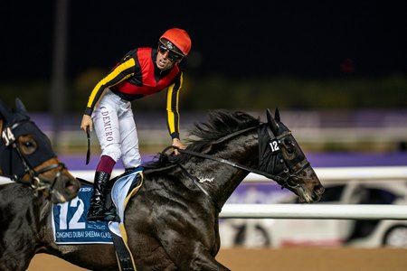 Shahryar wins the Dubai Sheema Classic at Meydan Racecourse