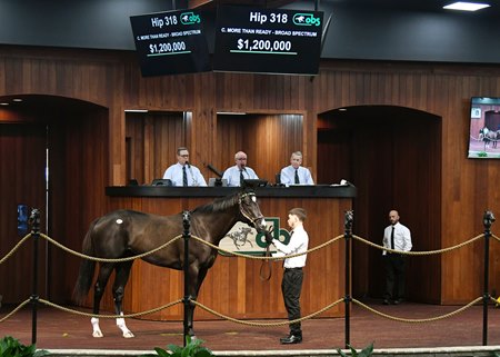 The More Than Ready colt consigned as Hip 318 in the ring at the OBS March Sale