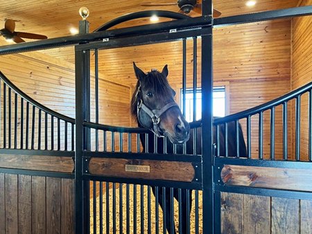 Mr Speaker at Forks of the Paluxy in Texas