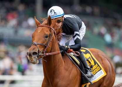 Forbidden Kingdom - Horse Profile - BloodHorse