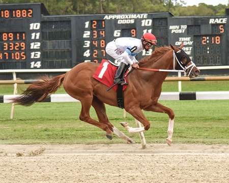 Fenwick breaks his maiden at Tampa Bay Downs