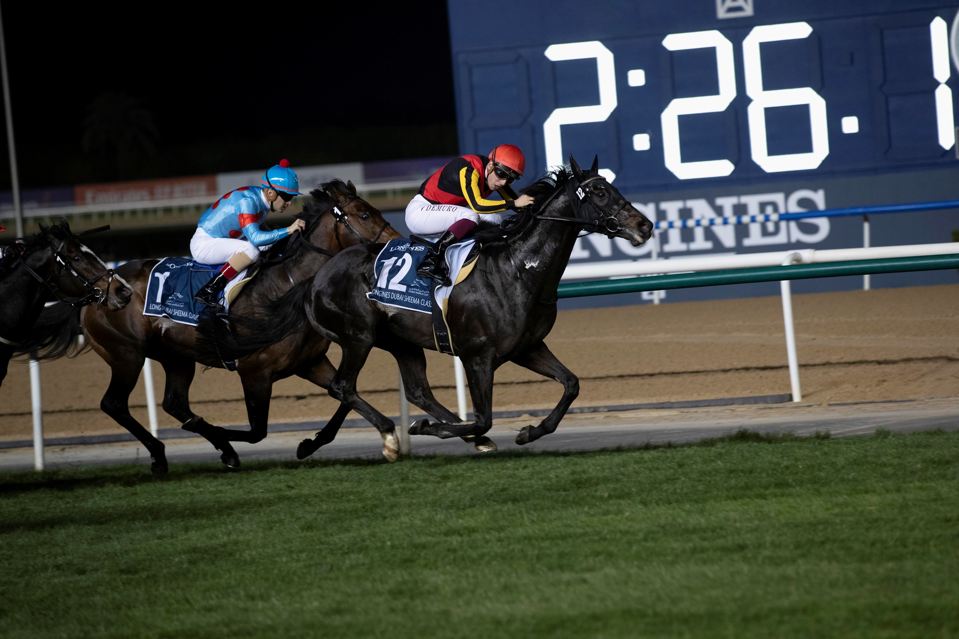 Longines Dubai Sheema Classic G1T Shahryar JPN BloodHorse