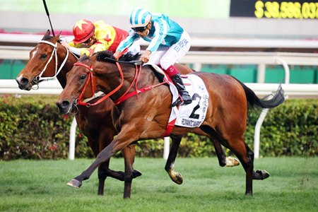 Romantic Warrior Edges California Spangle in HK Derby - BloodHorse