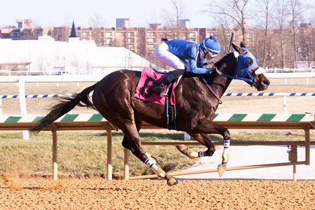 Shake Em Loose wins the Private Terms Stakes at Laurel Park