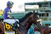 Jockey Victor Espinoza guides Express Train to the winner&#39;s circle after their victory in the Grade I, $650,000 Santa Anita Handicap, Saturday, March 5, 2022 at Santa Anita Park, Arcadia CA.
&#169; BENOIT PHOTO