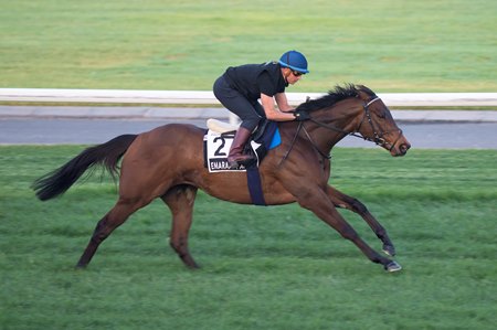 Emaraaty Ana works on the turf training track at Meydan in March