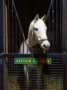 SILVER CHARM  Old Friend Equine