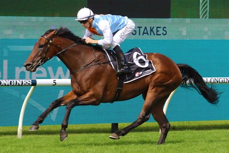 Montefilia wins the 2022 Ranvet Stakes at Rosehill Gardens Racecourse