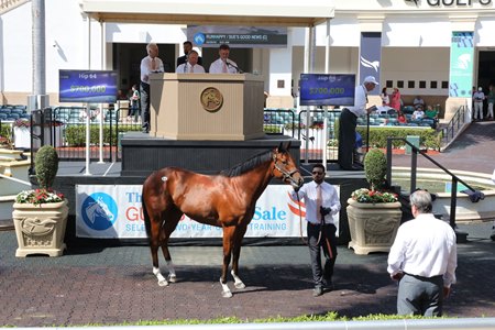 The Runhappy colt consigned as Hip 64 in the ring at The Gulfstream Sale
