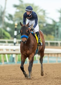 Cezanne - Horse Profile - BloodHorse