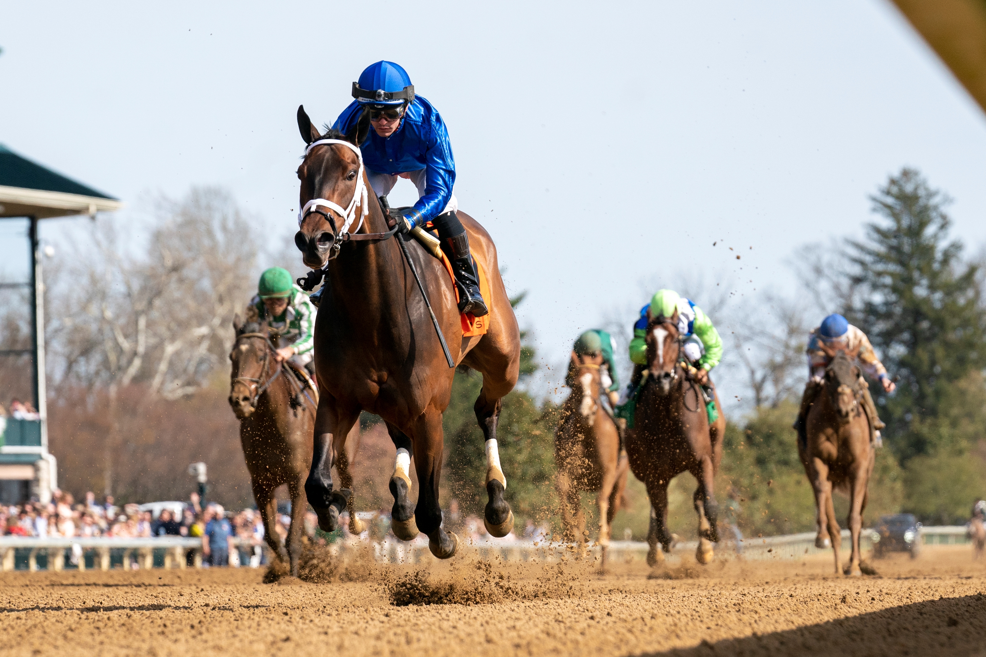 Matareya Delivers Breakthrough Performance in Beaumont BloodHorse