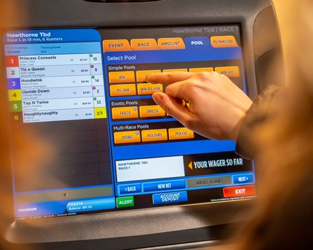 A bettor wagers on a self-service betting terminal