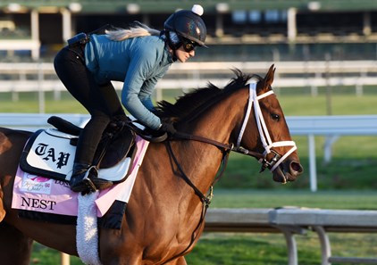 Nest - Horse Profile - BloodHorse