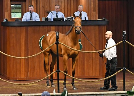 The Justify filly consigned as Hip 762 in the ring at the OBS Spring Sale 