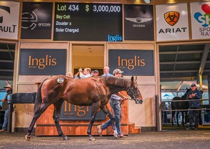 The Zoustar colt consigned as Lot 434 in the ring at the Inglis Easter Yearling Sale