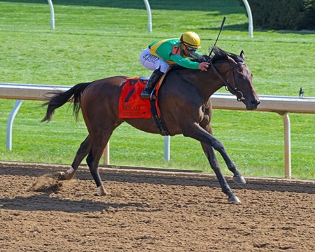 Scalding wins the Ben Ali Stakes at Keeneland 
