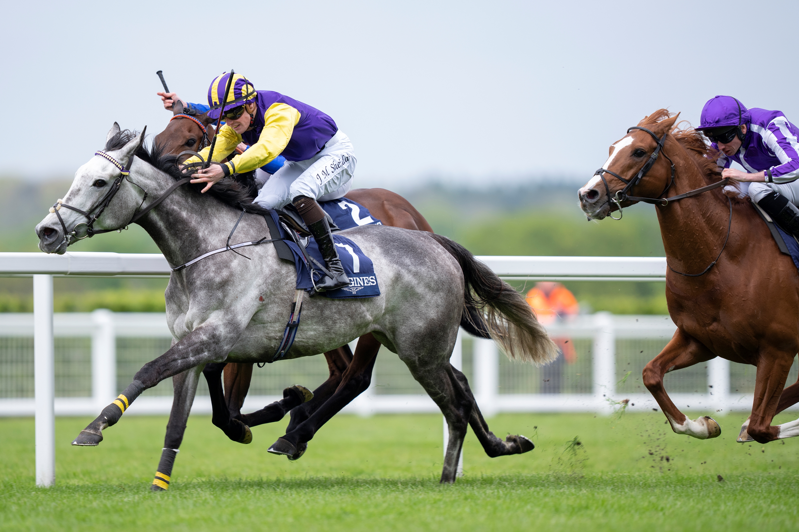 Princess Zoe Takes Sagaro Stakes at Ascot Racecourse BloodHorse