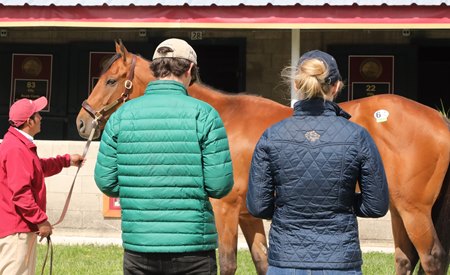 Inspecting a horse on offer in advance of the Keeneland April Sale