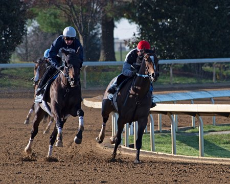 Blackadder (outside) breezes in company April 3 at Keeneland 