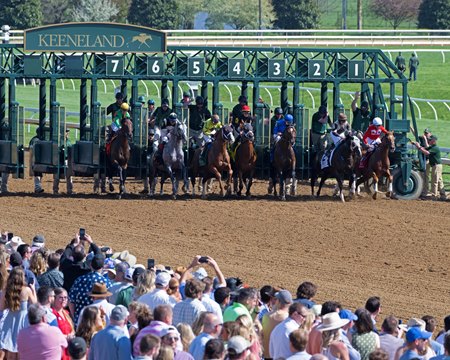 Horses leave the starting gate at Keeneland 