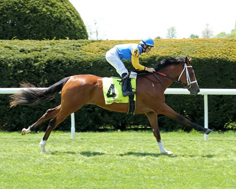 Oscar Performance Sires First Winner on Keeneland Turf - BloodHorse