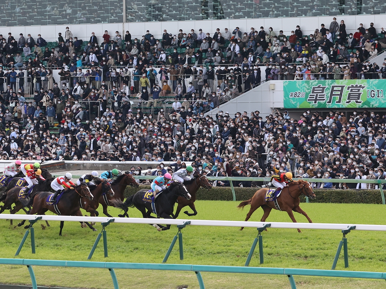 7f2d9ba155954a51a858c94811a5e0