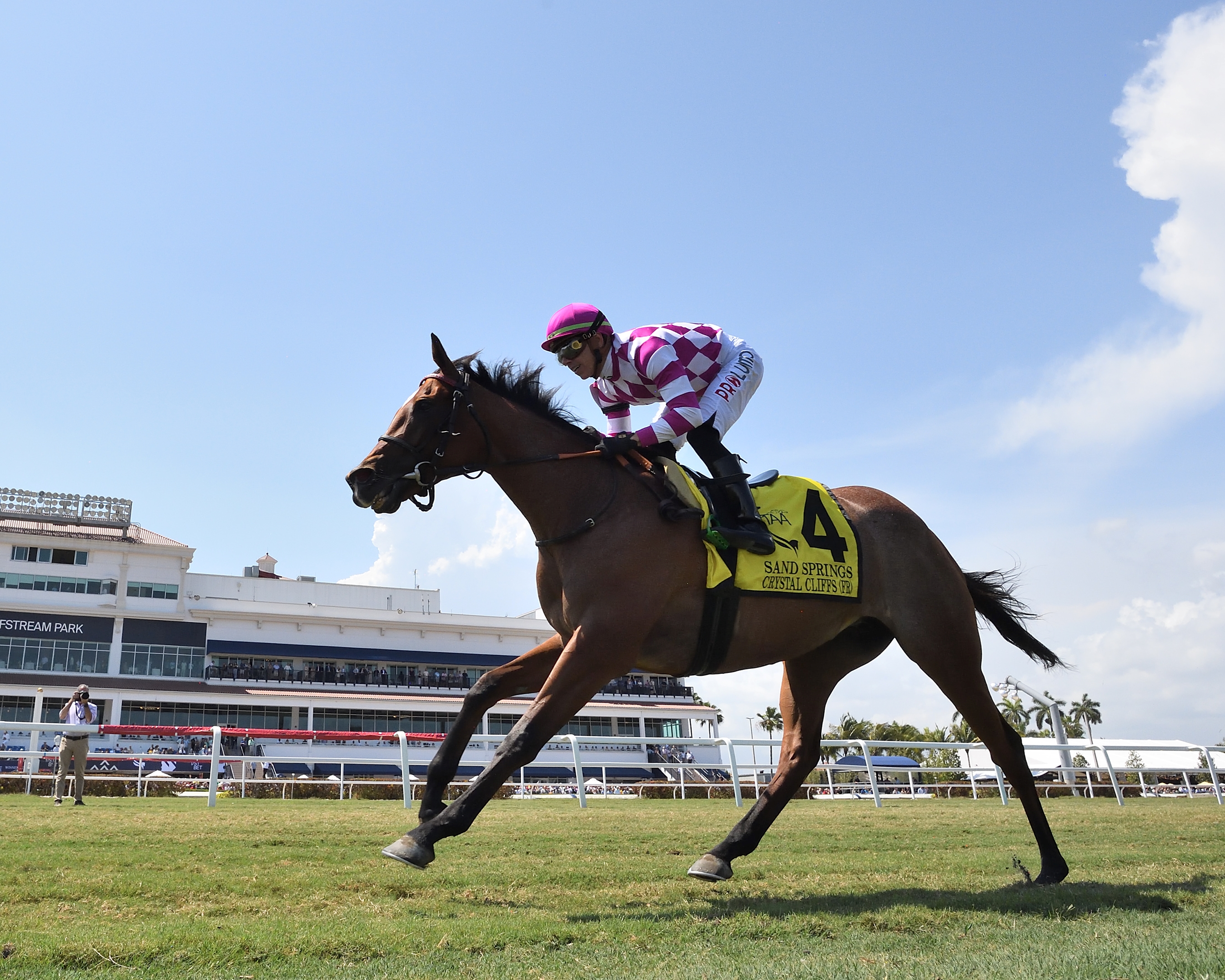 Crystal Cliffs (FR) - Horse Profile - BloodHorse
