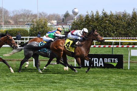 Thin White Duke wins in April at Aqueduct Racetrack