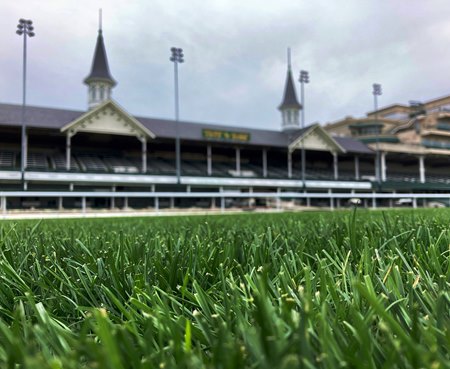 The new turf course at Churchill Downs