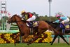 Geoglyph wins the Satsuki Sho Sunday, April 17, 2022 at Nakayama Racecourse