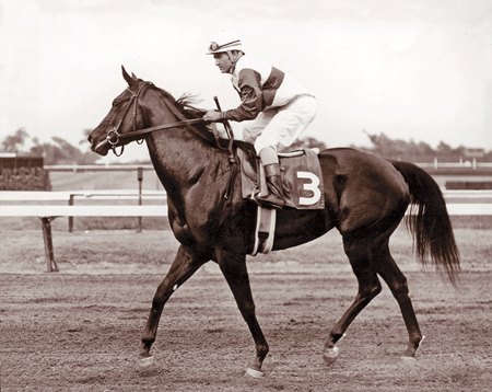 Ruffian after winning the 1974 Sorority Stakes at Monmouth Park