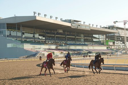 Horse Tracks: The other OTHER Mile High Stadium - Mile High Report