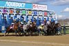 The start of the 2022 Wood Memorial at Aqueduct, won by Mo Donegal (#1)