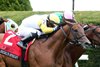 Shirl&#39;s Speight with Luis Saez wins the Maker’s Mark Mile (G1T) at Keeneland