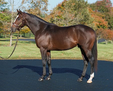 Yoshida at WinStar Farm