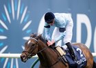Cachet (James Doyle) wins the 1000 Guineas
Newmarket 1.5.22 Pic: Edward Whitaker