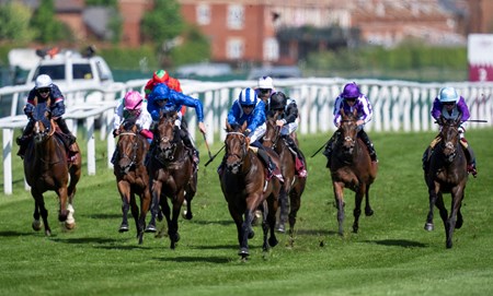 Baaeed (GB) - Horse Profile - BloodHorse