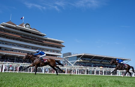 Baaeed (GB) - Horse Profile - BloodHorse