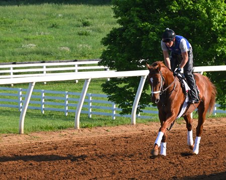 Rich Strike trains May 12 at Mercury Equine Center