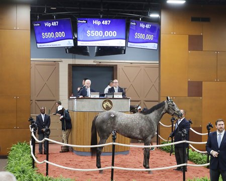 The Malibu Moon filly consigned as Hip 487 in the ring at the Fasig-Tipton Midlantic Sale