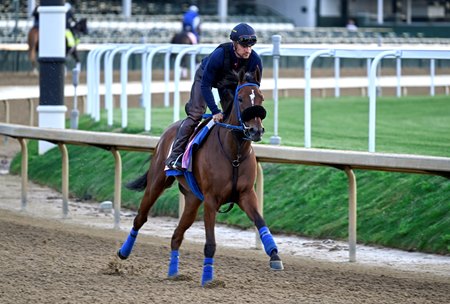 Desert Dawn trains May 5 at Churchill Downs 