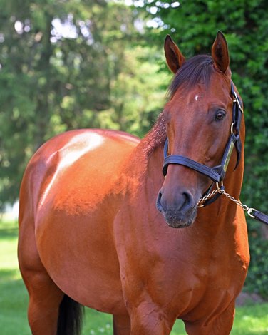Keen Ice Sold to Rancho San Jorge in Mexico