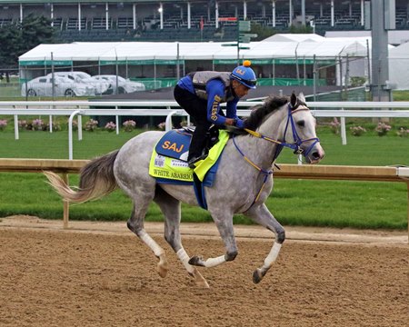 White Abarrio trains ahead of the Kentucky Derby at Churchill Downs