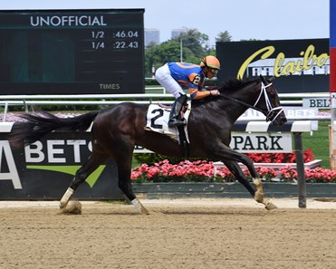 Forte - Horse Profile - BloodHorse