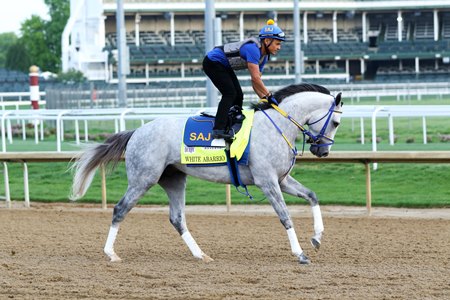 White Abarrio on the track at Churchill Downs