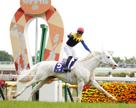 Sodashi wins the Victoria Mile at Tokyo Racecourse