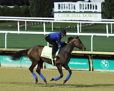 Messier - Horse Profile - BloodHorse