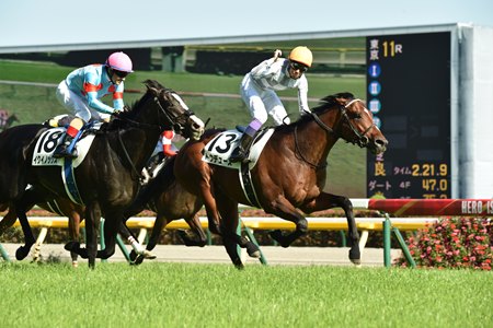 Do Deuce wins the Tokyo Yushun at Tokyo Racecourse