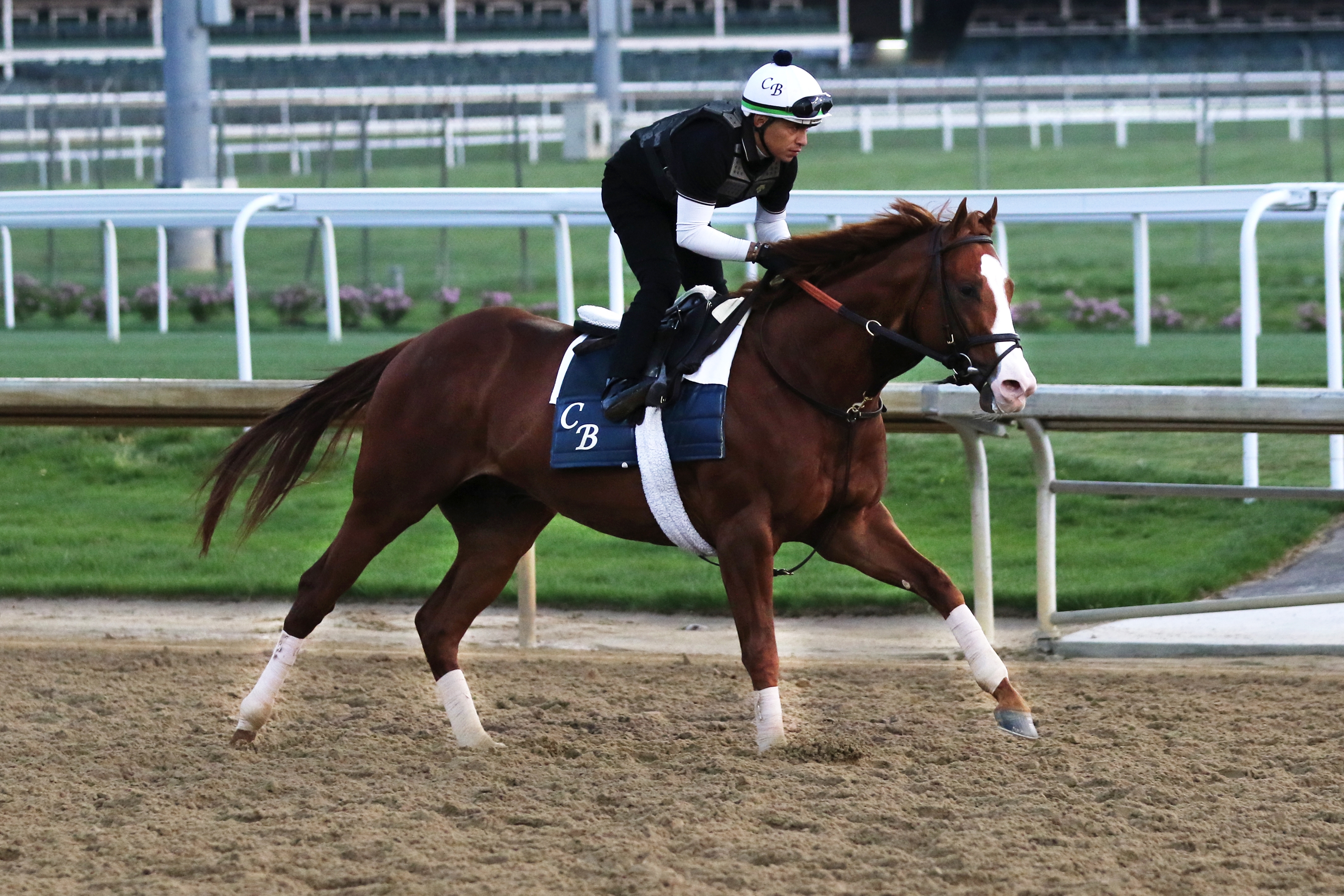 Unbeaten Jack Christopher Favored in Pat Day Mile - BloodHorse